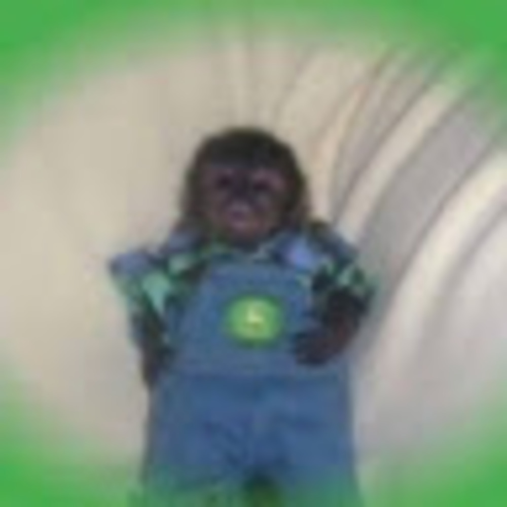 Meet your Posher, Kaitlin